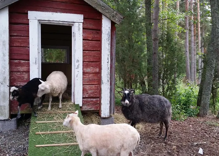 Kustavin Lootholma * كوستافي